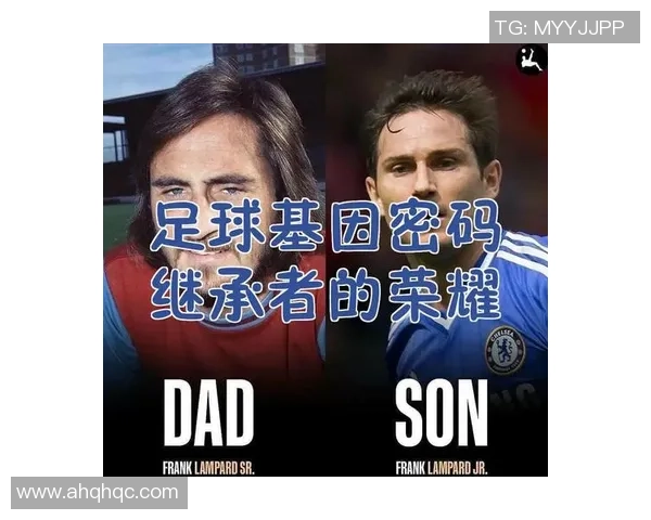 足球明星的奋斗历程与荣耀瞬间征文写作指南